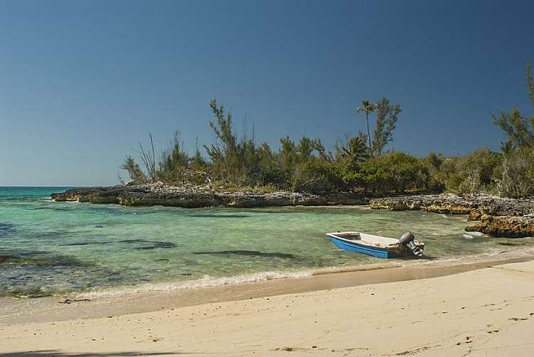 Cat Island